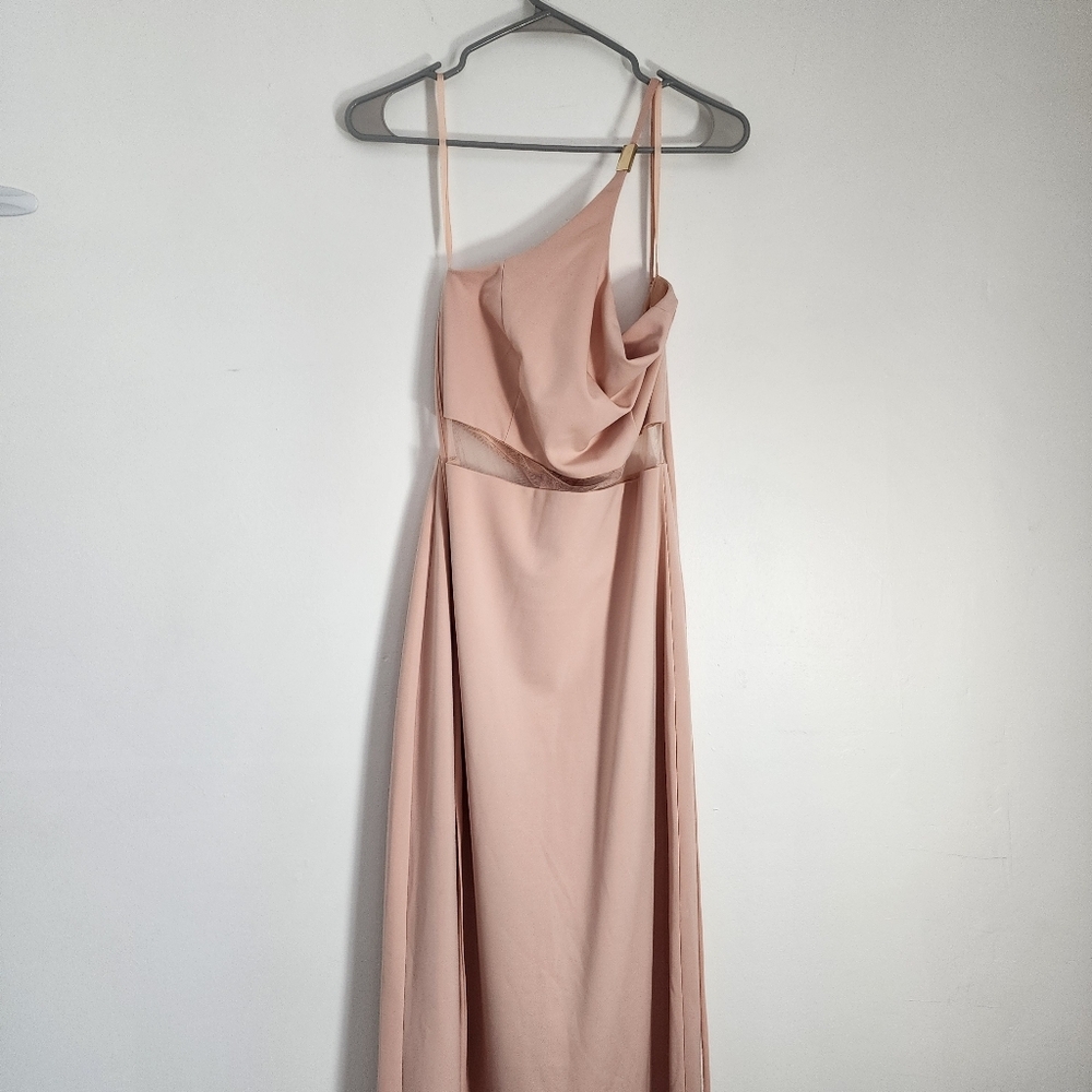Bariano Lumier Size Medium Elegant One-Shoulder Pink Dress In Blush Hue